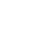circle5 1.png
